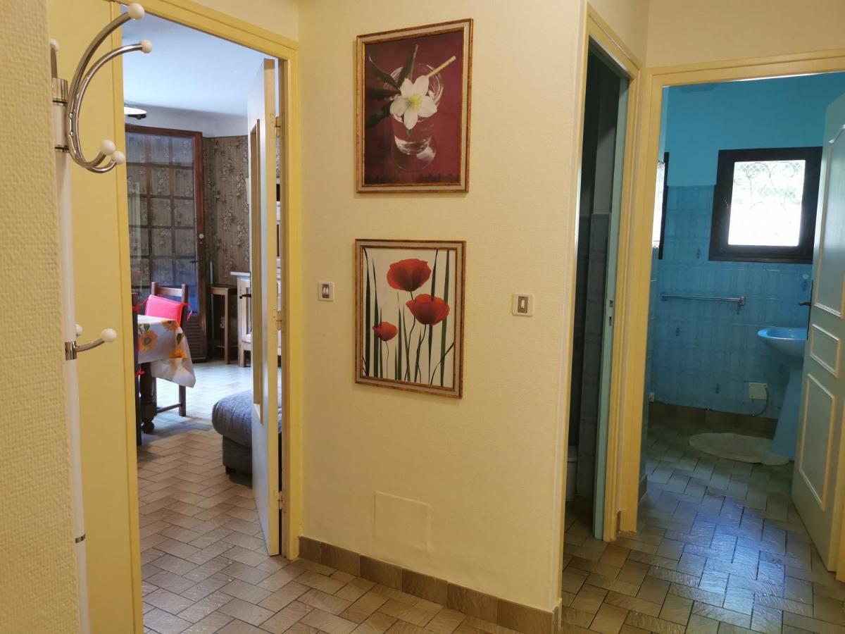 Appartement 48 M2 Avec Jardin Au Rdc Dans Villa A 5 Min A Pied Des Thermes De Vernet-Les-Bains, Location De Samedi A Samedi エクステリア 写真