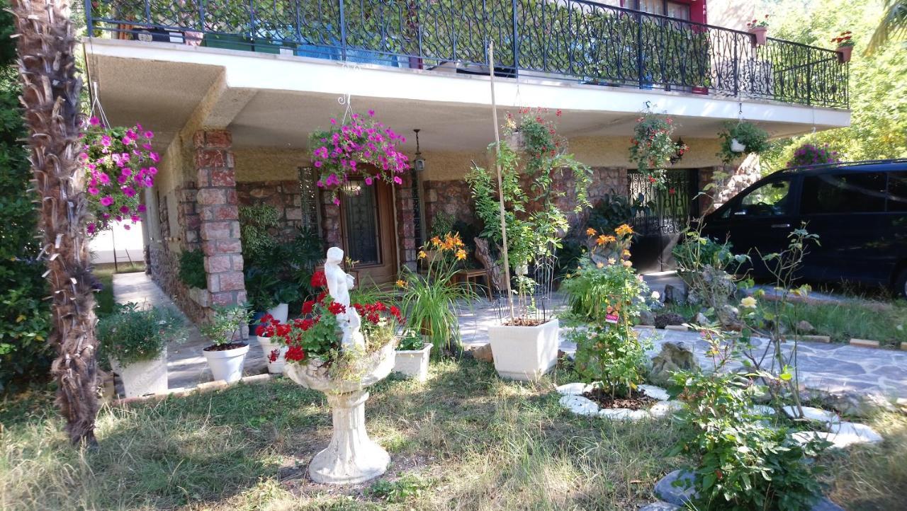 Appartement 48 M2 Avec Jardin Au Rdc Dans Villa A 5 Min A Pied Des Thermes De Vernet-Les-Bains, Location De Samedi A Samedi エクステリア 写真